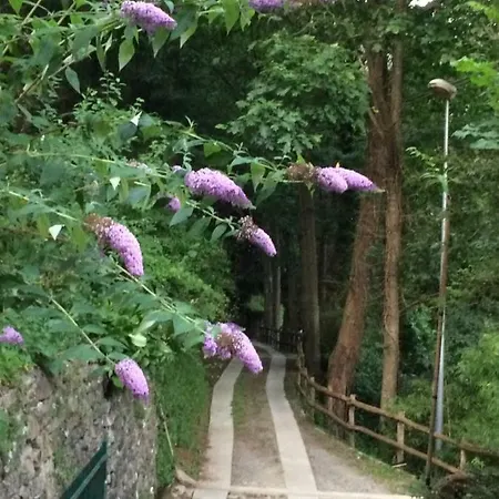 La Quiete 3*