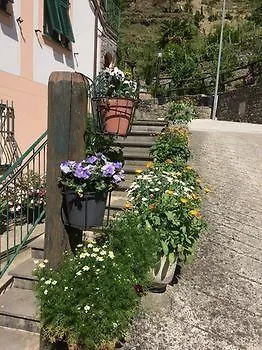 La Quiete Pensión Borzonasca