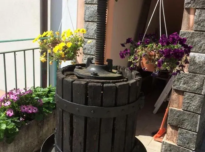 Πανσιόν La Quiete Borzonasca