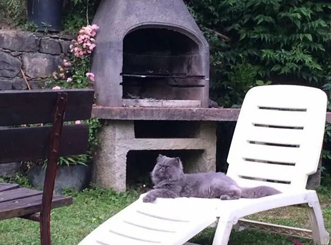 La Quiete Pensión 3*